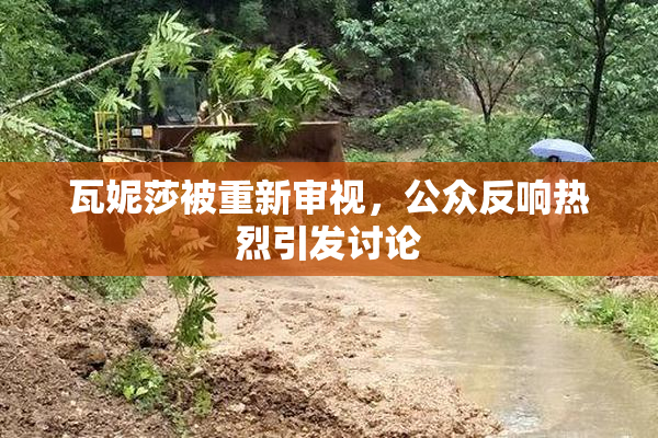 瓦妮莎被重新审视，公众反响热烈引发讨论