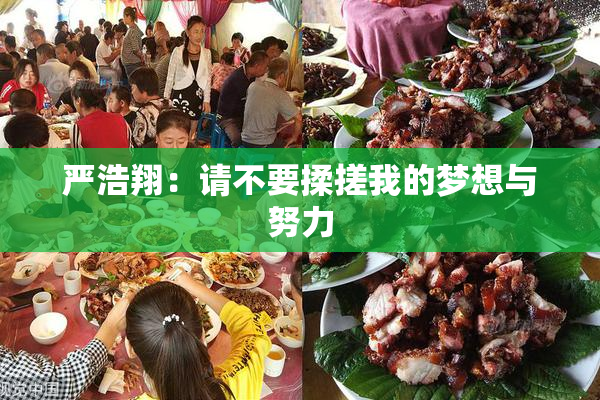 严浩翔：请不要揉搓我的梦想与努力
