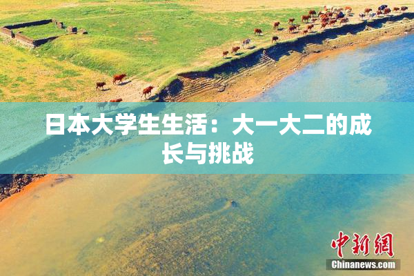 日本大学生生活：大一大二的成长与挑战