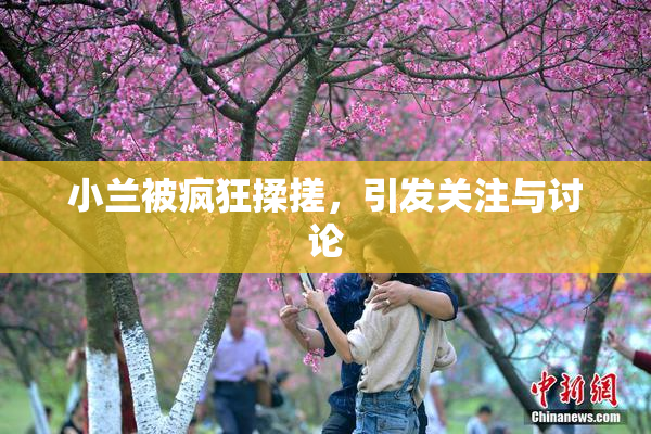 小兰被疯狂揉搓，引发关注与讨论