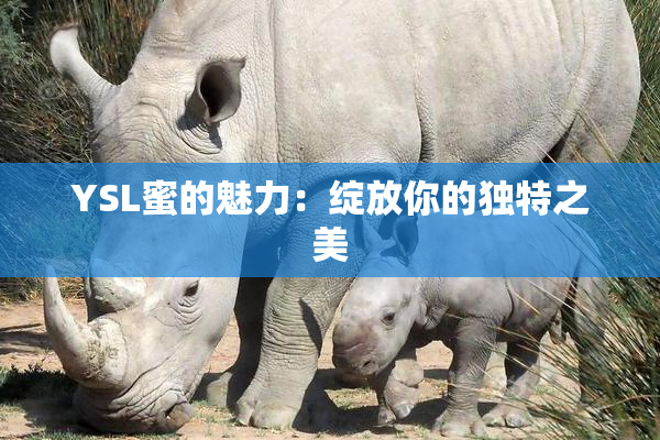 YSL蜜的魅力：绽放你的独特之美