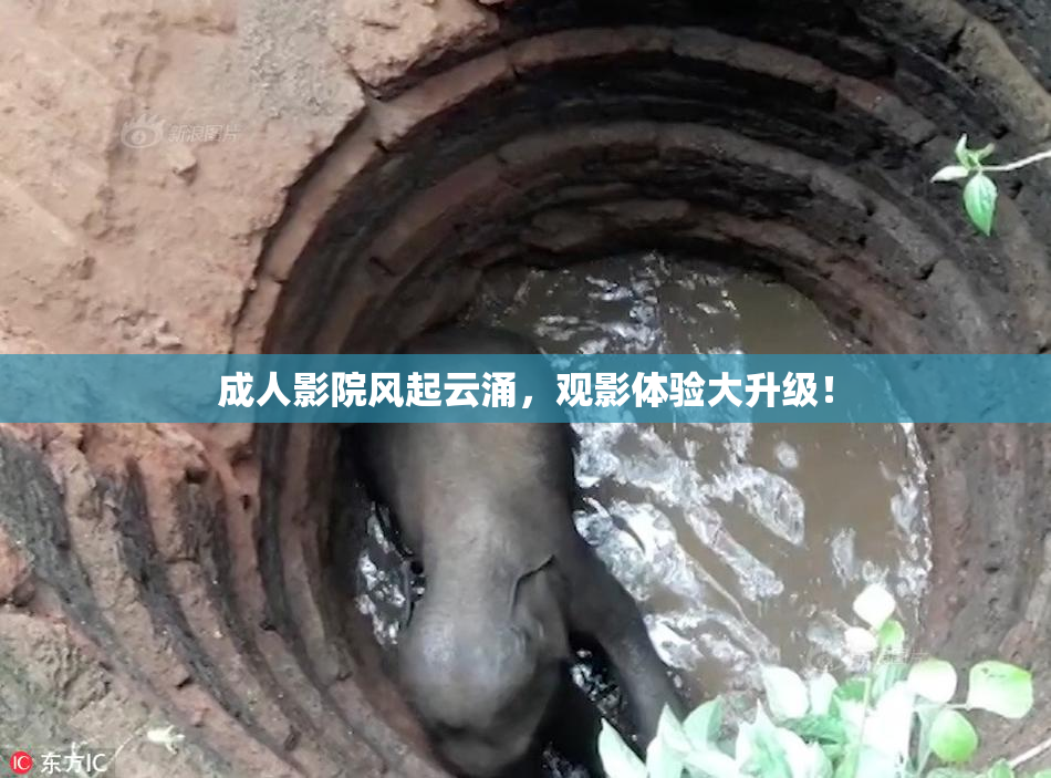 成人影院风起云涌，观影体验大升级！