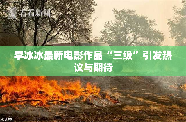 李冰冰最新电影作品“三级”引发热议与期待