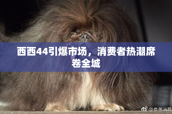 西西44引爆市场，消费者热潮席卷全城