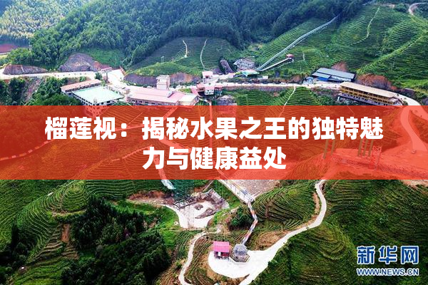 榴莲视：揭秘水果之王的独特魅力与健康益处
