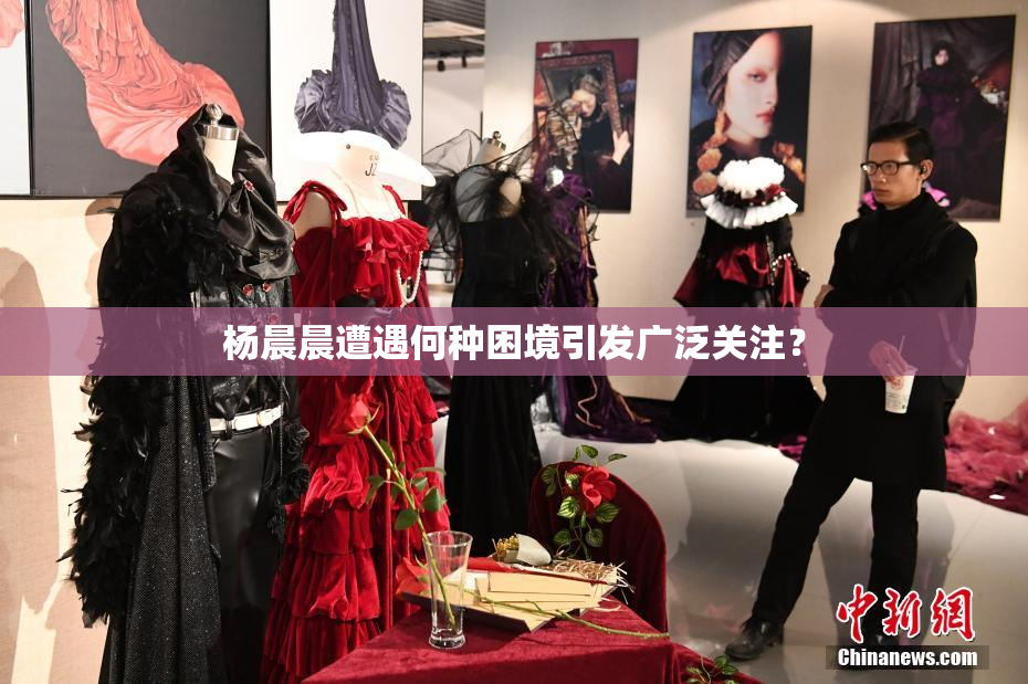 杨晨晨遭遇何种困境引发广泛关注？