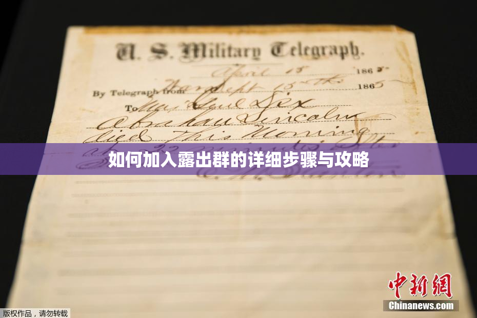 如何加入露出群的详细步骤与攻略