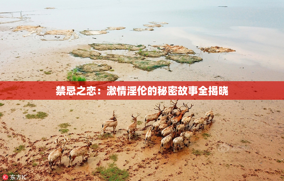 禁忌之恋：激情淫伦的秘密故事全揭晓