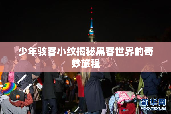 少年骇客小纹揭秘黑客世界的奇妙旅程