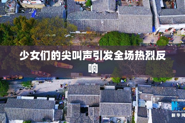 少女们的尖叫声引发全场热烈反响