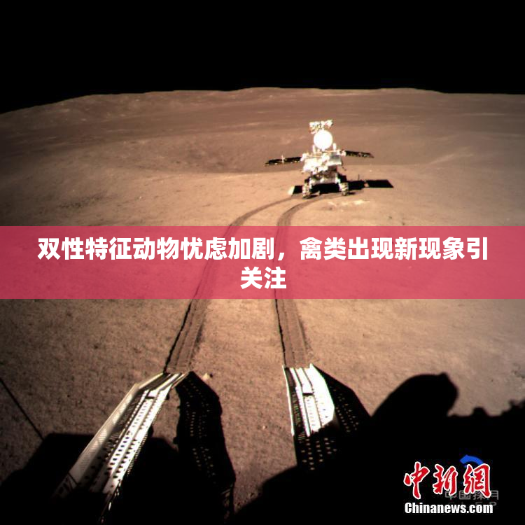 双性特征动物忧虑加剧，禽类出现新现象引关注