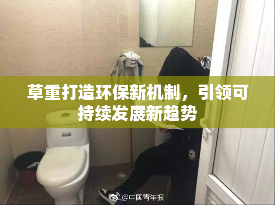草重打造环保新机制，引领可持续发展新趋势
