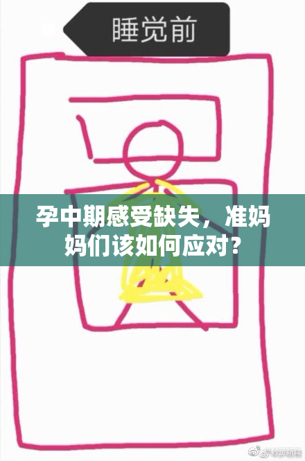 孕中期感受缺失，准妈妈们该如何应对？