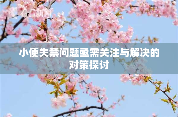 小便失禁问题亟需关注与解决的对策探讨