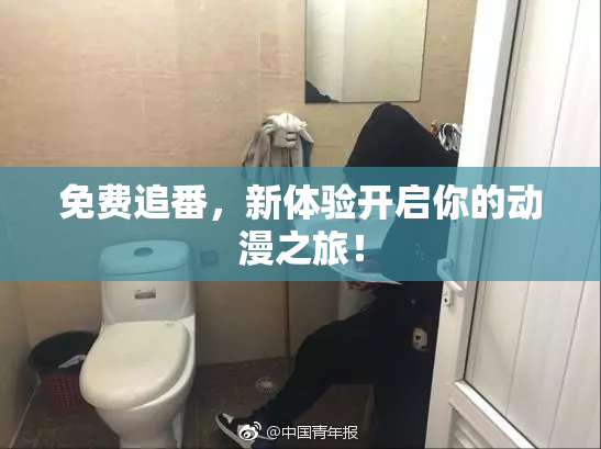 免费追番，新体验开启你的动漫之旅！