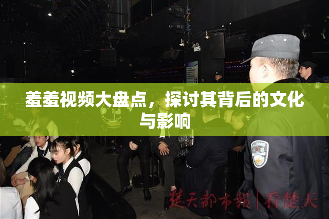 羞羞视频大盘点，探讨其背后的文化与影响