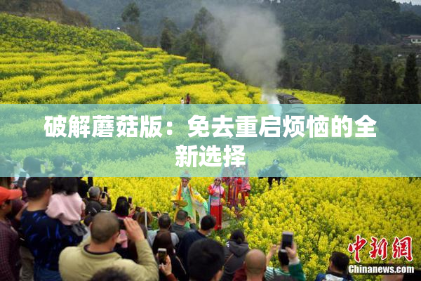 破解蘑菇版：免去重启烦恼的全新选择