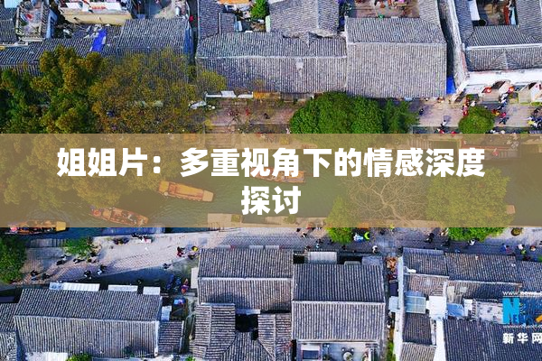 姐姐片：多重视角下的情感深度探讨