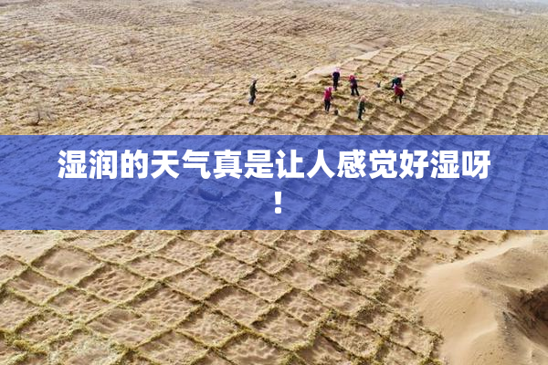 湿润的天气真是让人感觉好湿呀！
