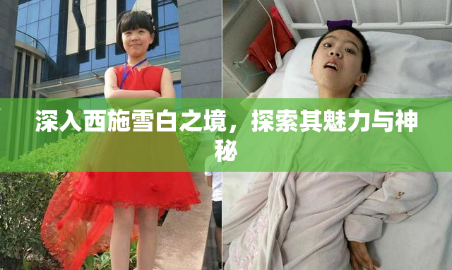 深入西施雪白之境，探索其魅力与神秘