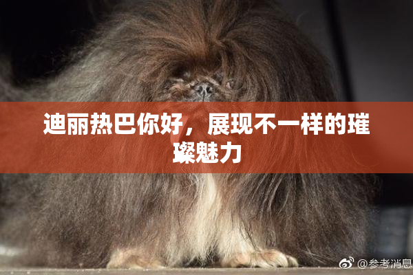 迪丽热巴你好，展现不一样的璀璨魅力