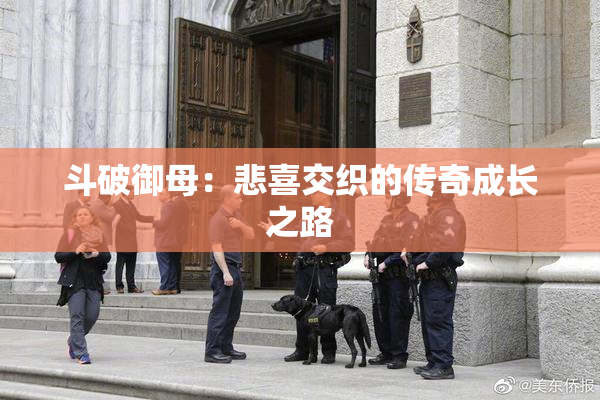 斗破御母：悲喜交织的传奇成长之路