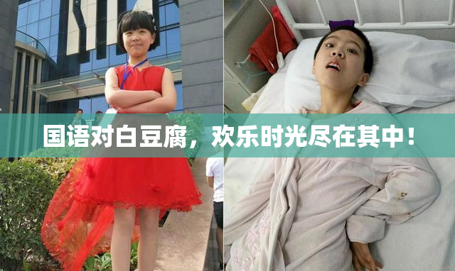 国语对白豆腐，欢乐时光尽在其中！