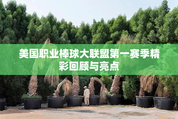 美国职业棒球大联盟第一赛季精彩回顾与亮点