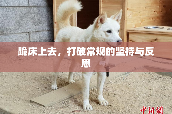 跪床上去，打破常规的坚持与反思