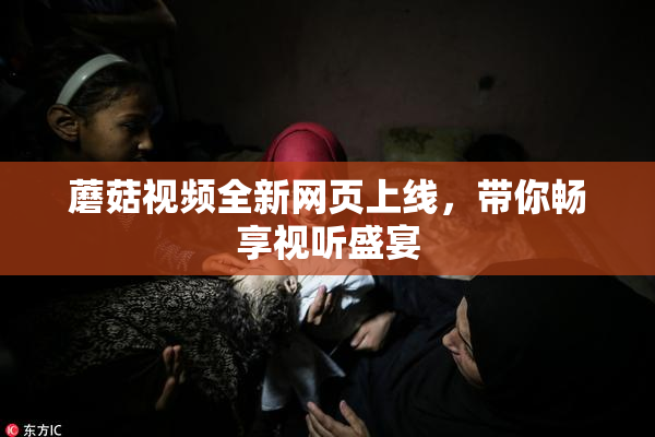 蘑菇视频全新网页上线，带你畅享视听盛宴