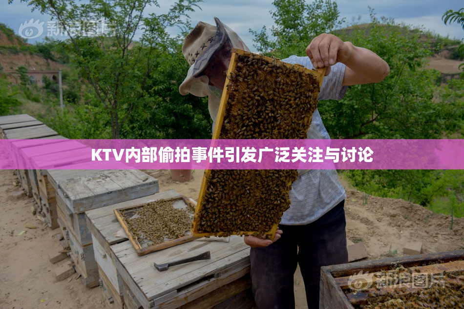KTV内部偷拍事件引发广泛关注与讨论