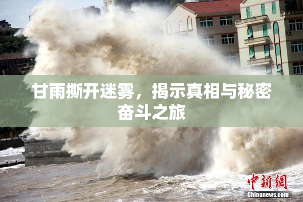甘雨撕开迷雾，揭示真相与秘密奋斗之旅