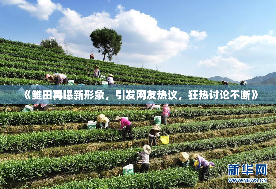 《雏田再曝新形象，引发网友热议，狂热讨论不断》