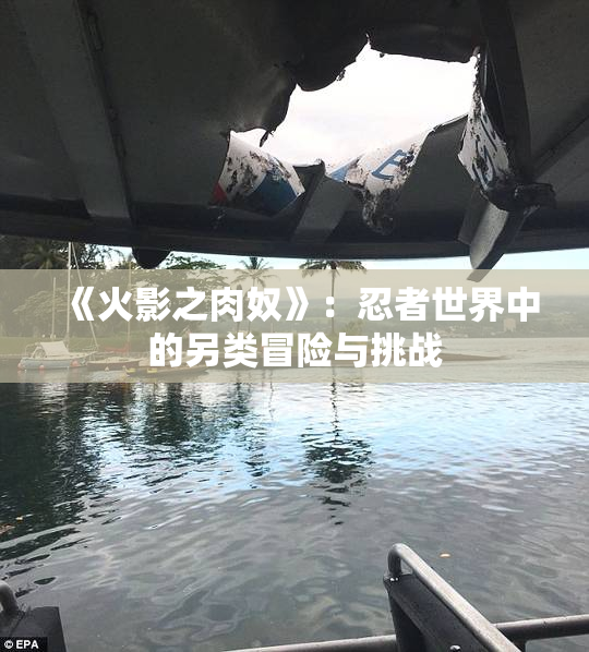 《火影之肉奴》：忍者世界中的另类冒险与挑战
