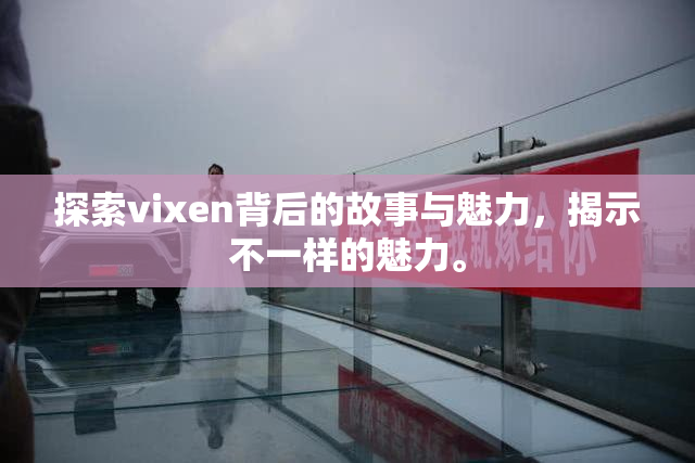 探索vixen背后的故事与魅力，揭示不一样的魅力。