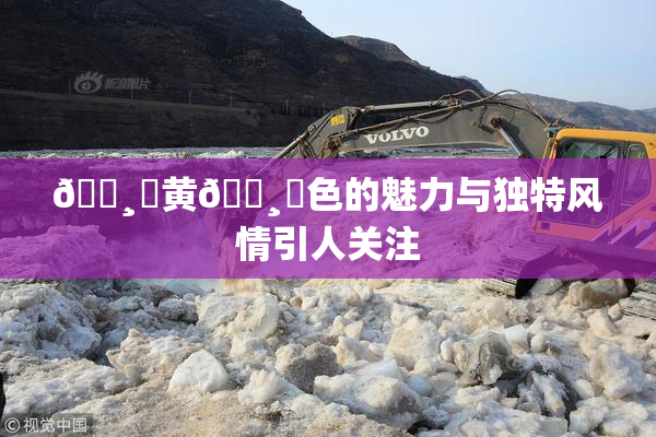 🌸‌黄🌸‌色的魅力与独特风情引人关注