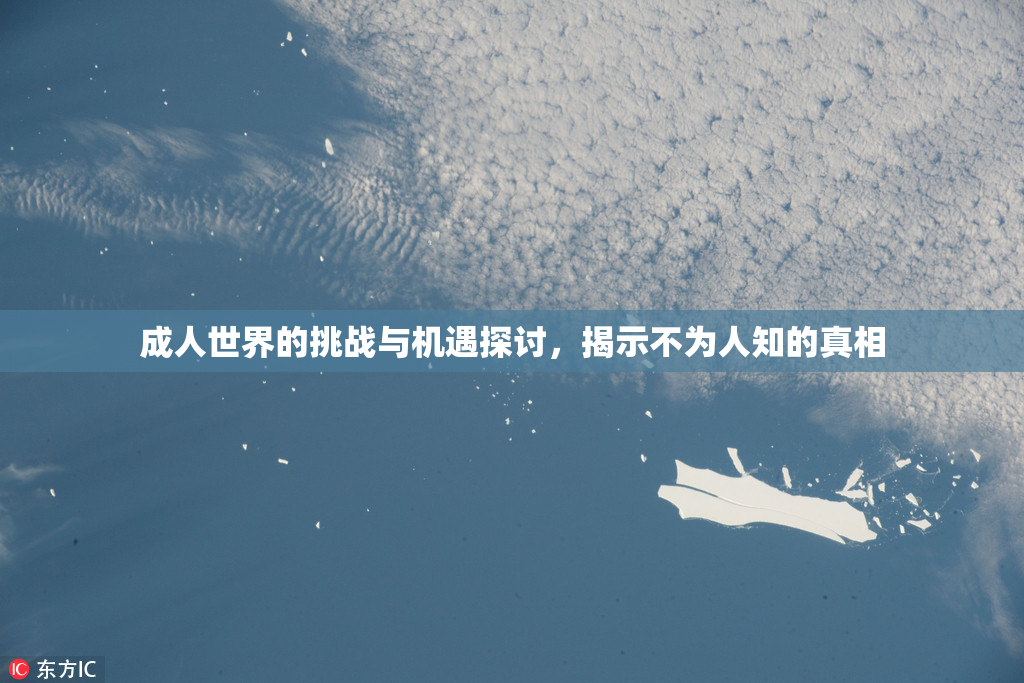 成人世界的挑战与机遇探讨，揭示不为人知的真相