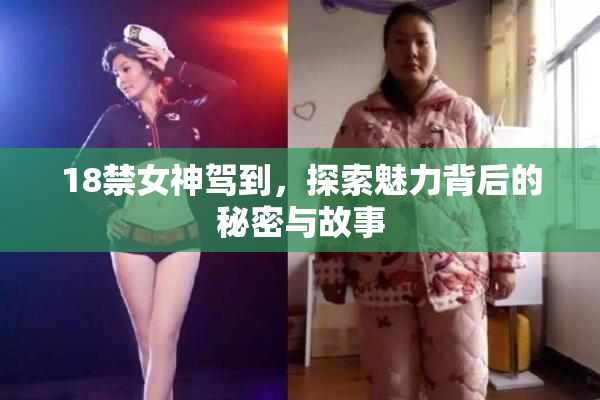 18禁女神驾到，探索魅力背后的秘密与故事