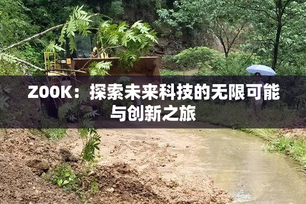 Z00K：探索未来科技的无限可能与创新之旅