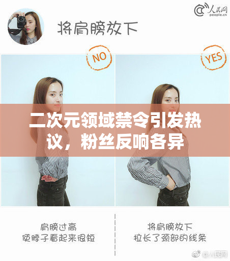二次元领域禁令引发热议，粉丝反响各异