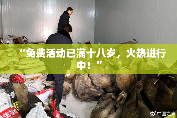 “免费活动已满十八岁，火热进行中！”