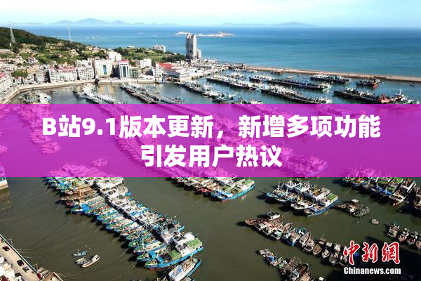 B站9.1版本更新，新增多项功能引发用户热议
