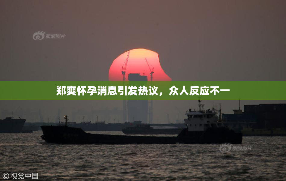 郑爽怀孕消息引发热议，众人反应不一