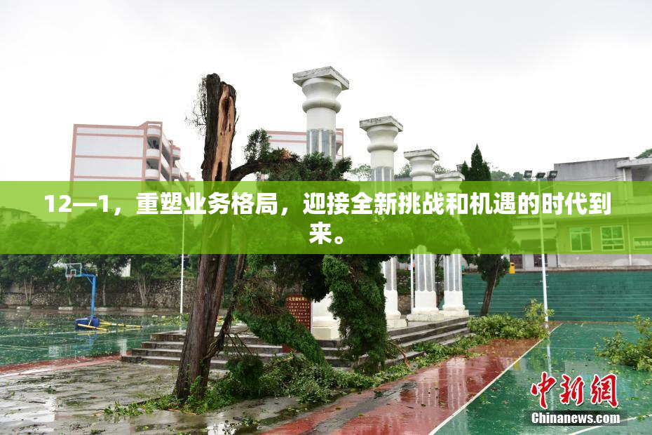 12—1，重塑业务格局，迎接全新挑战和机遇的时代到来。