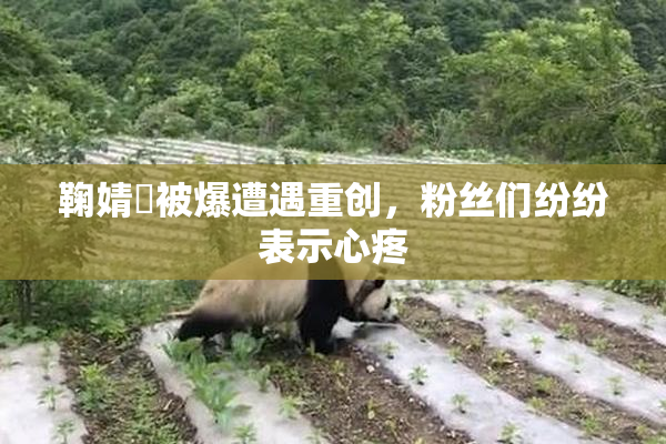鞠婧祎被爆遭遇重创，粉丝们纷纷表示心疼