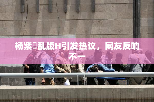 杨紫婬乱版H引发热议，网友反响不一