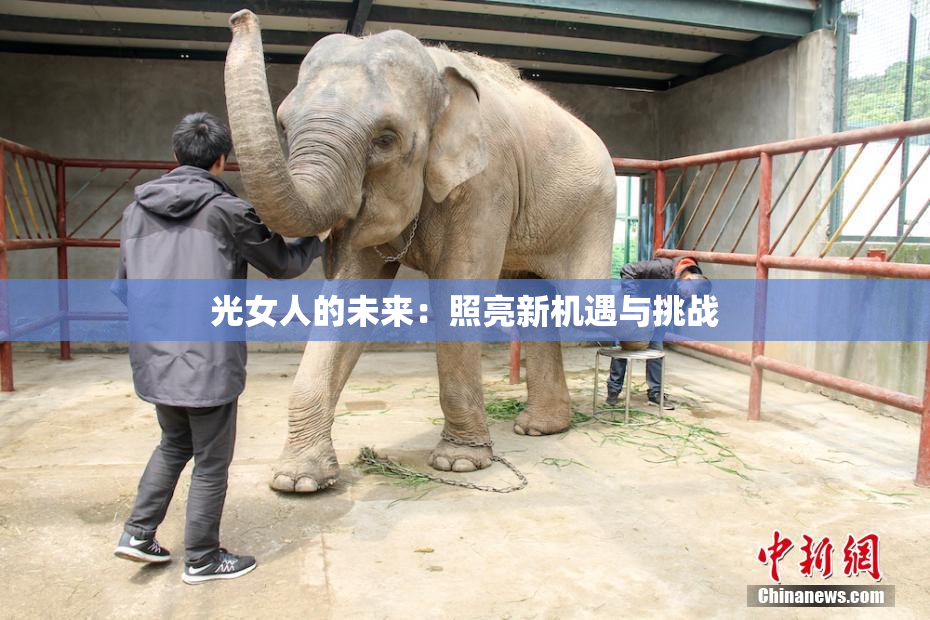 光女人的未来：照亮新机遇与挑战