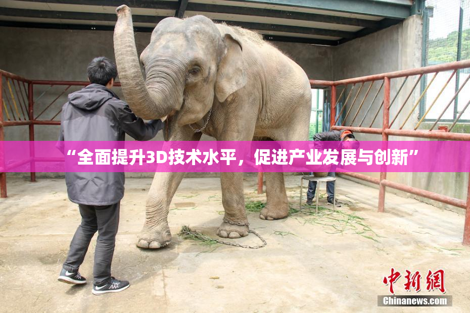 “全面提升3D技术水平，促进产业发展与创新”
