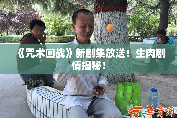 《咒术回战》新剧集放送！生肉剧情揭秘！