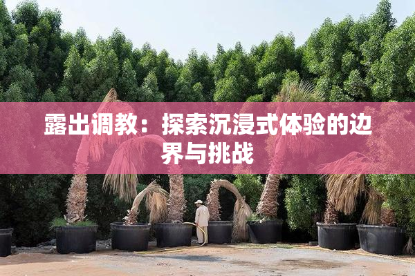 露出调教：探索沉浸式体验的边界与挑战